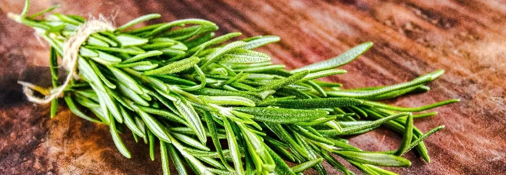 Frischer Rosmarin auf Holzbrett